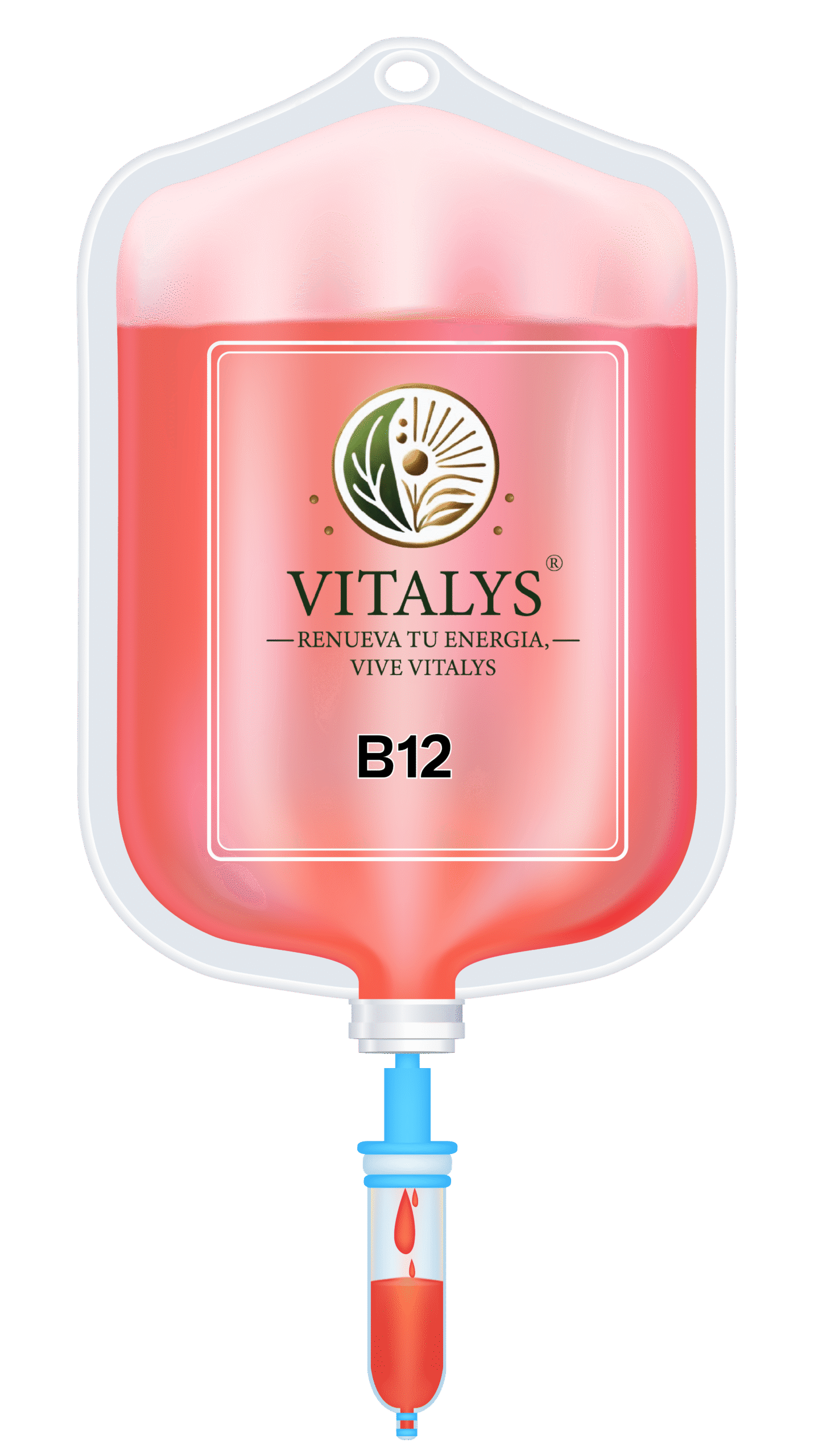B12-01